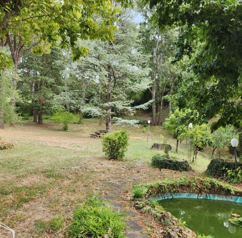 Beautiful garden with pond and lush greenery in Salsomaggiore Parma.