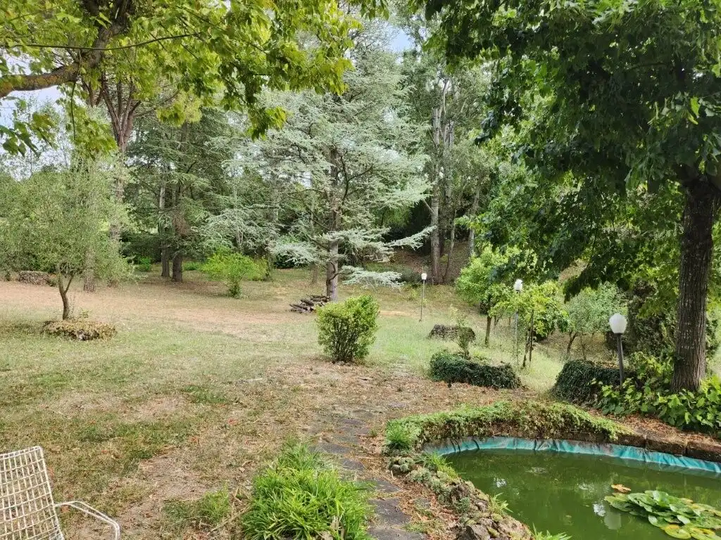 Beautiful garden with pond and lush greenery in Salsomaggiore Parma.