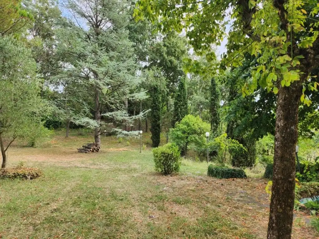 Spacious garden view of a lush green country villa in Salsomaggiore Parma.