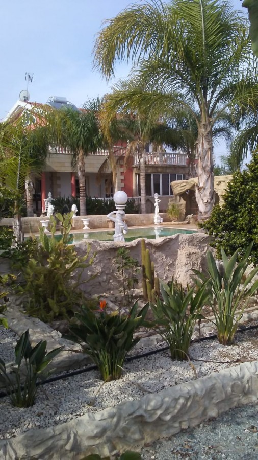 335557-detached-villa-for-sale-in-palaiometocho_full