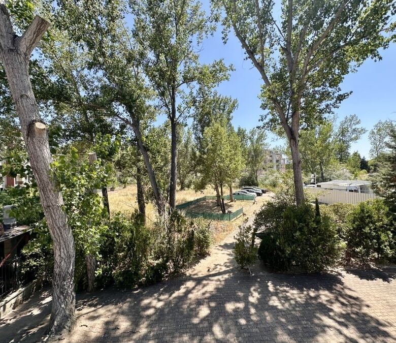 Bright view of trees and outdoor space from the apartment in Sunny Beach. Perfect for relaxing and e.