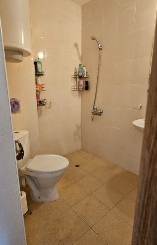 Bathroom with shower, toilet, and storage shelves in a compact space.