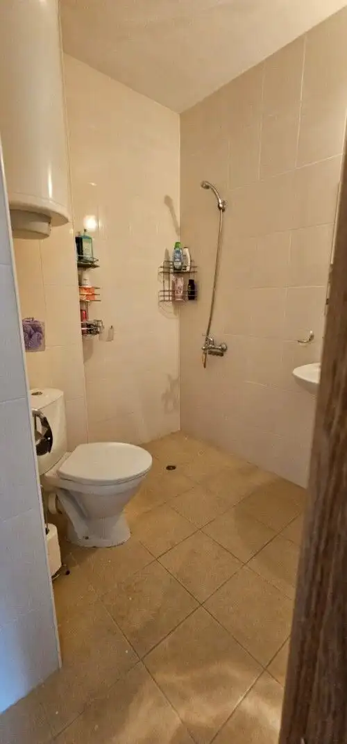 Bathroom with shower, toilet, and storage shelves in a compact space.