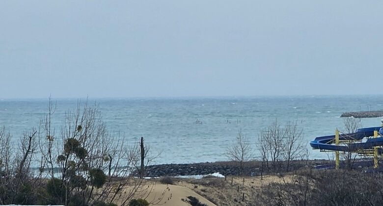 Sea view 1-bedroom apartment in front of the sea at Esperanto Hotel, between Sunny Beach and Nesseba.