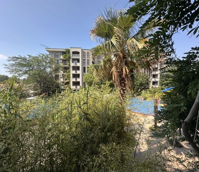 View of Cascadas Family Resort with pool, palm trees, and surrounding buildings.