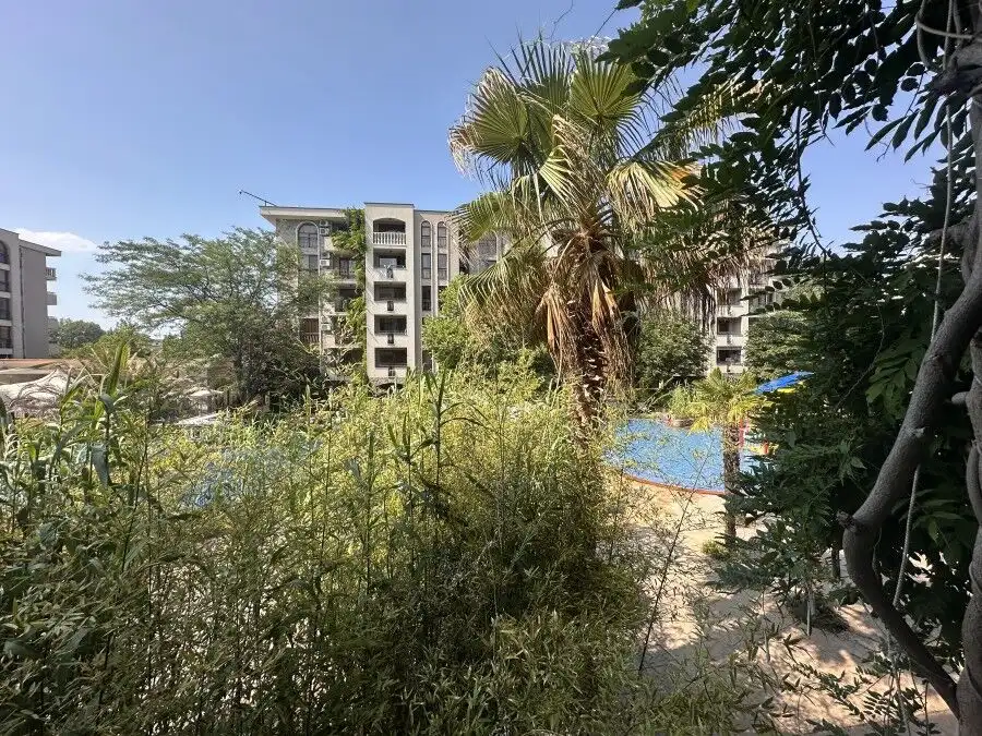 View of Cascadas Family Resort with pool, palm trees, and surrounding buildings.