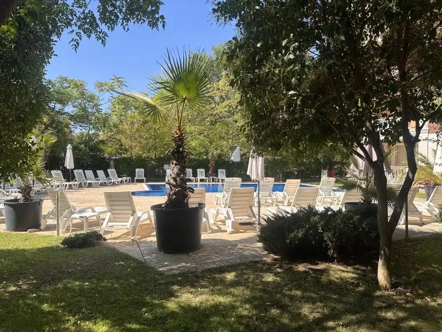 Bright outdoor pool area with lounge chairs and lush greenery.