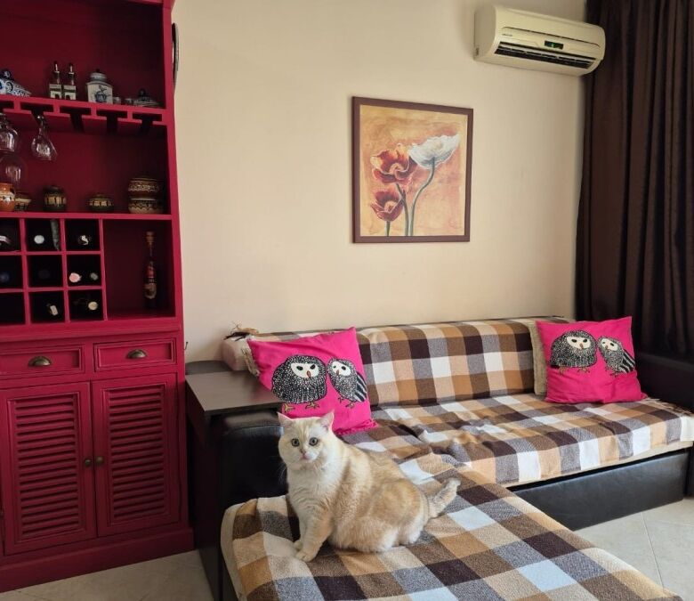 Apartment with pool view, 55 sq.m., in Cascadas Family Resort, Sunny Beach, Bulgaria.