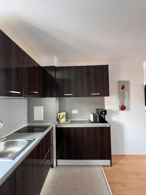 Luxury apartment kitchen with dark wood cabinets and modern appliances.
