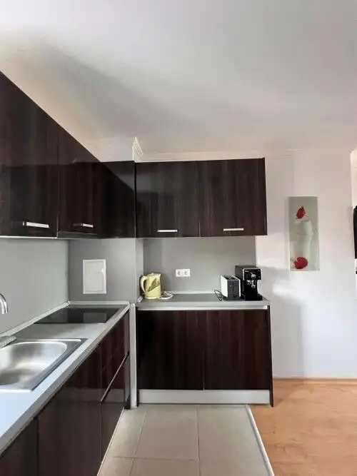 Luxury apartment kitchen with dark wood cabinets and modern appliances.
