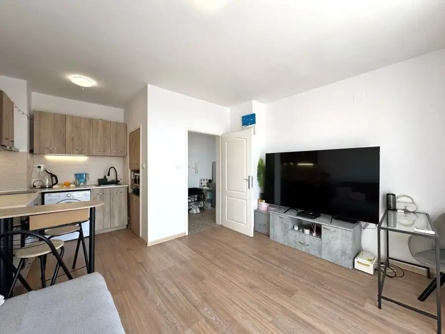Modern 1-bedroom top floor apartment in Flores Park, Sunny Beach, with living area and kitchen.