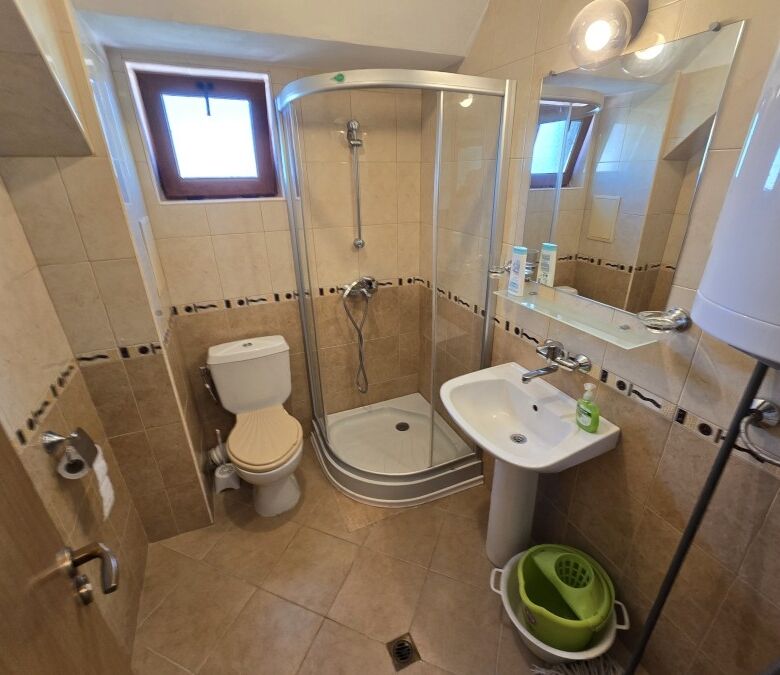 Bathroom with shower, toilet, and sink in a small, well-lit area.