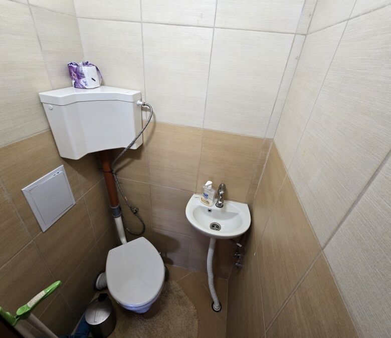 Bright bathroom with toilet and sink near the sea.