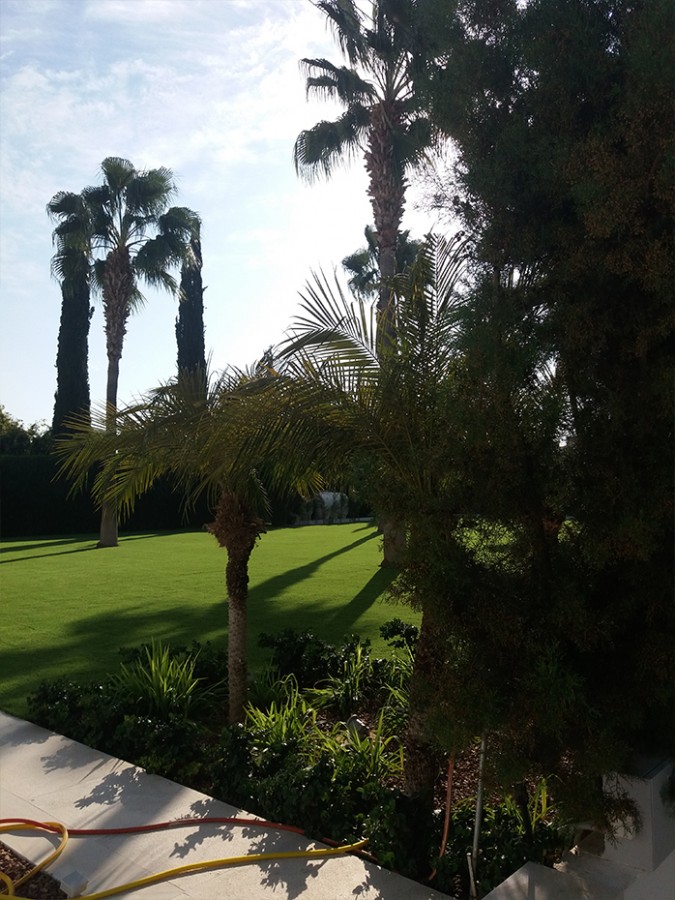 391232-detached-villa-for-sale-in-select-location_full