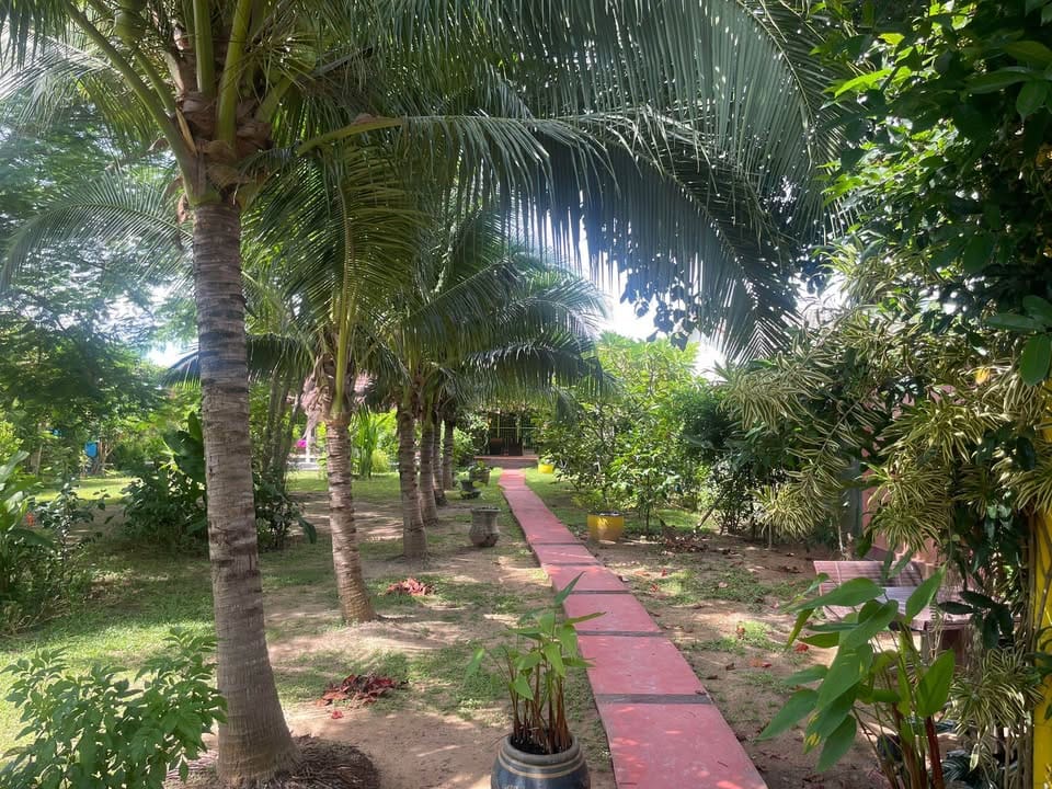 476156786_9604781796239431_187797845569860674_n