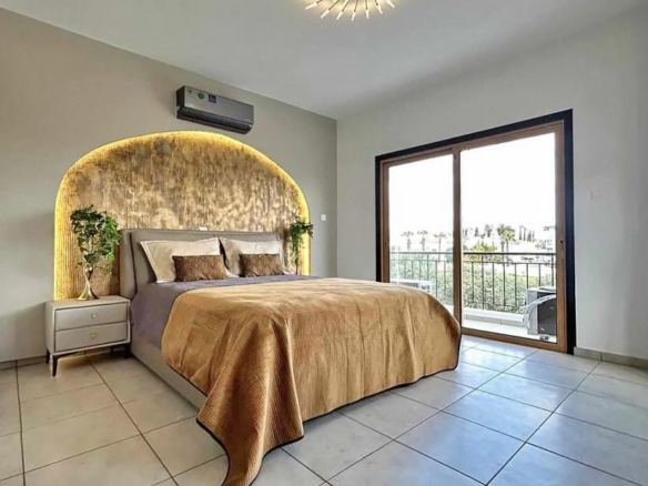 490171646 645849311576194 5918649604799739828 n copy large