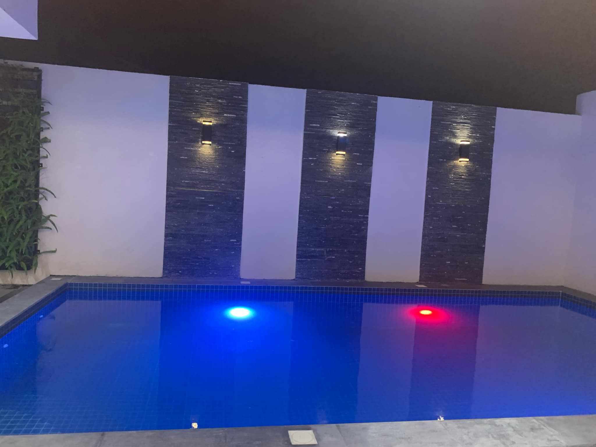 490980279_1201163334920954_3192363737241681906_n-1