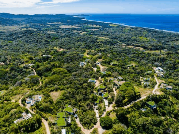 51D8F225 6D87 4D9F 8A6D 484D7BE2D26E