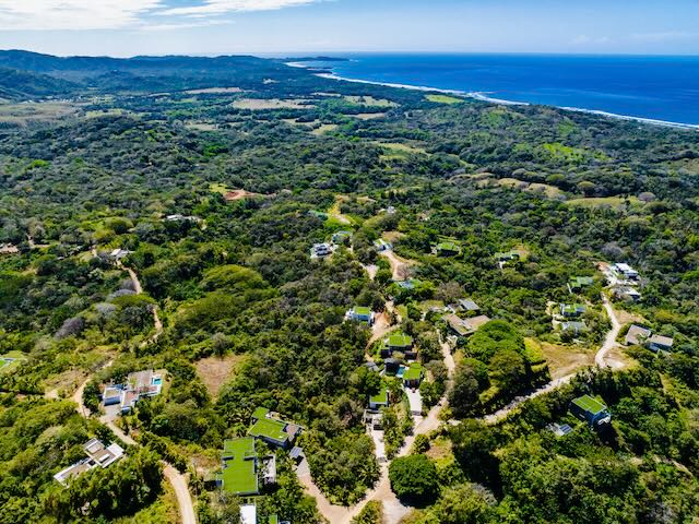 51D8F225 6D87 4D9F 8A6D 484D7BE2D26E