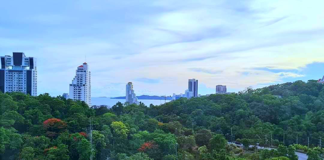 520534733_2446908265676506_4035419882429181895_n