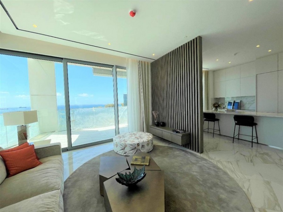 563536-apartment-for-sale-in-neapolis_full