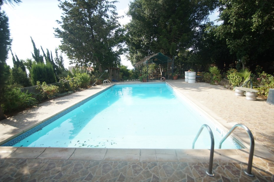 56793-detached-villa-for-sale-in-chloraka_full