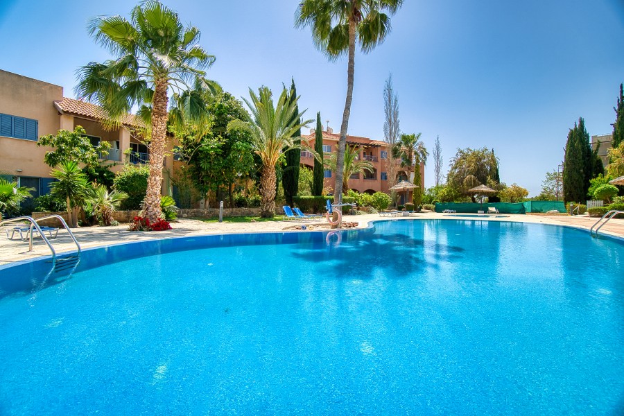 584523-apartment-for-sale-in-mandria_full