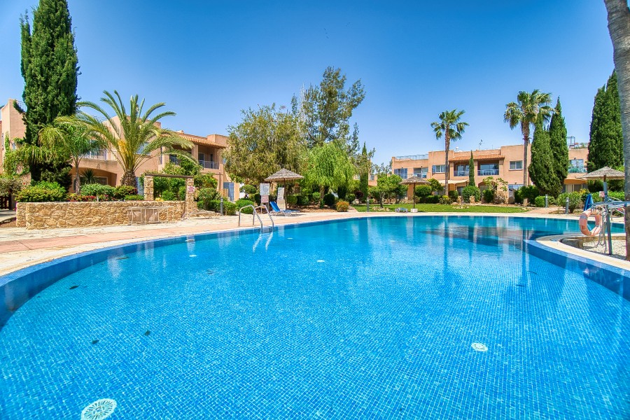 584555-apartment-for-sale-in-mandria_full