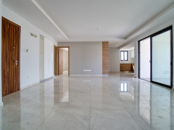 593023 penthouse for sale in potamos germasogeias full