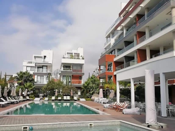 5c41183b d3e9 4981 95b7 5f4da2a51a85 copy large 2