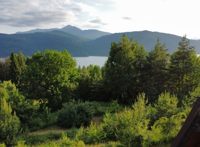 Log cabin surrounded by lush greenery and forest in Grozăvești, ideal for nature lovers.