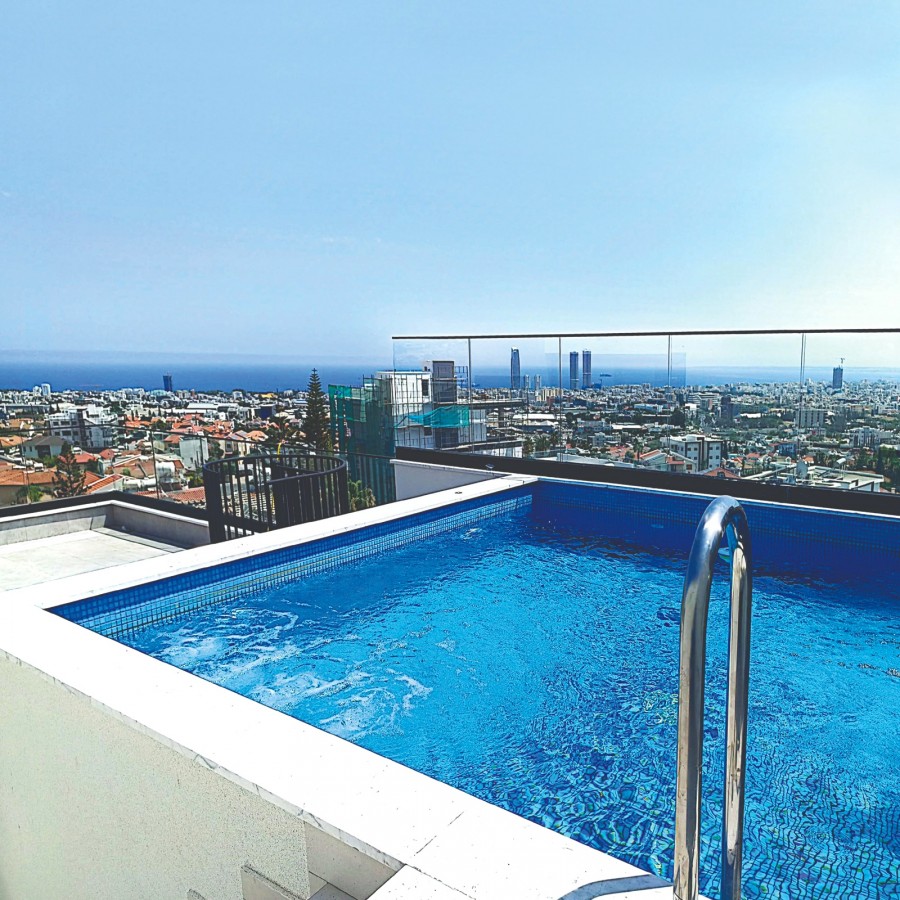 609927-penthouse-for-sale-in-ayios-athanasios_full