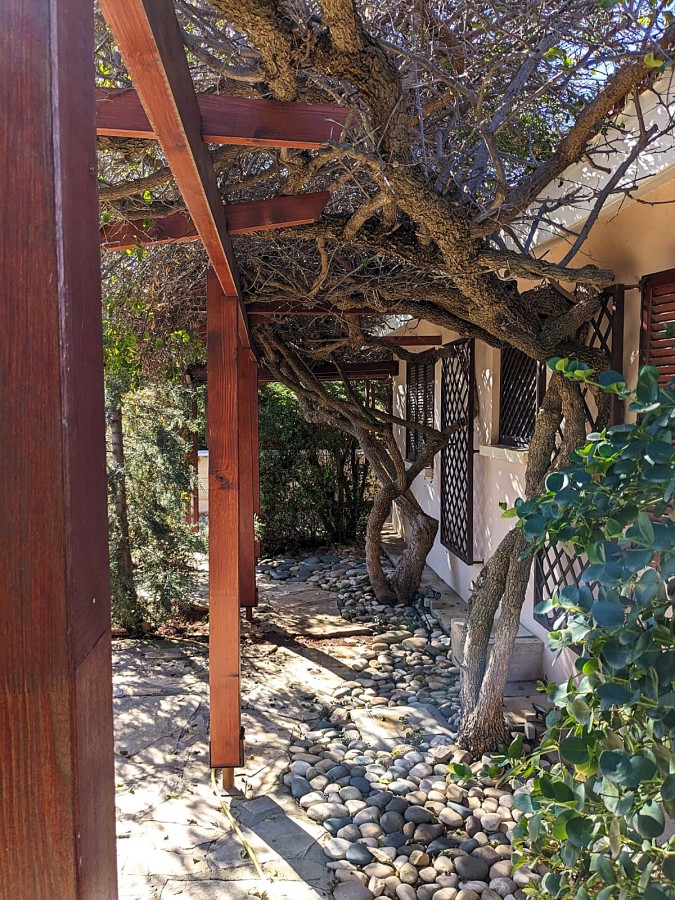 610217-detached-villa-for-sale-in-pissouri_full