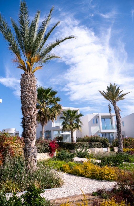 614046-detached-villa-for-sale-in-pegia-coral-bay_full