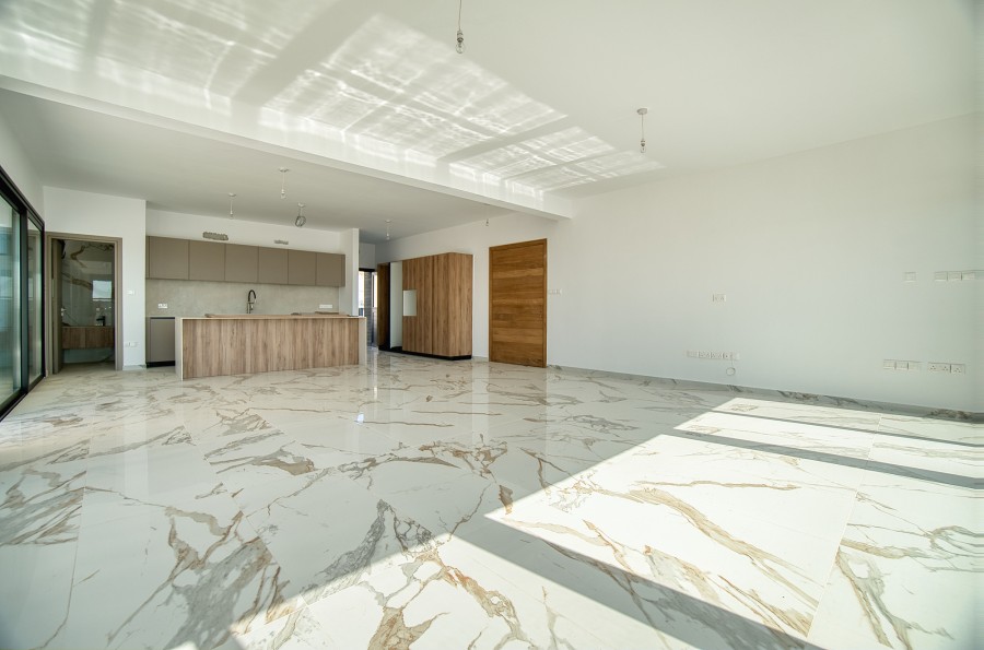 626019-detached-villa-for-sale-in-palodeia_full