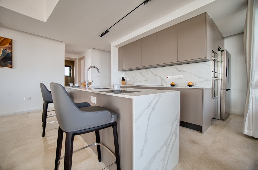 644434-penthouse-for-sale-in-ayios-athanasios_full