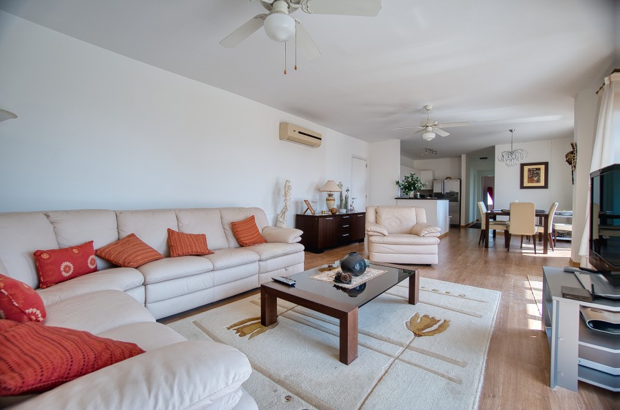 663709-penthouse-for-sale-in-agia-marinouda_full