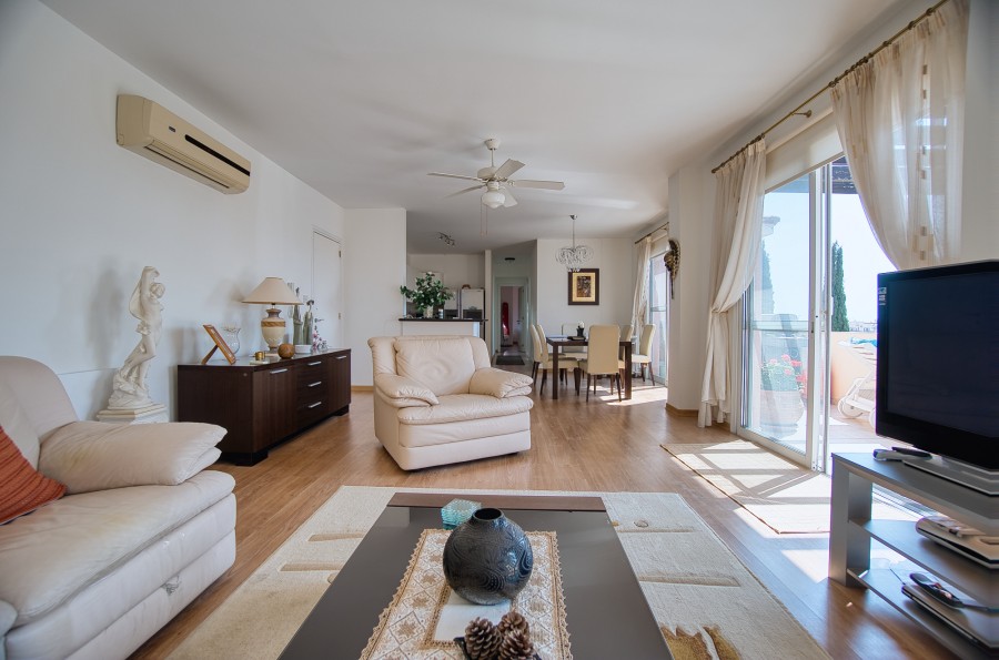 663710-penthouse-for-sale-in-agia-marinouda_full