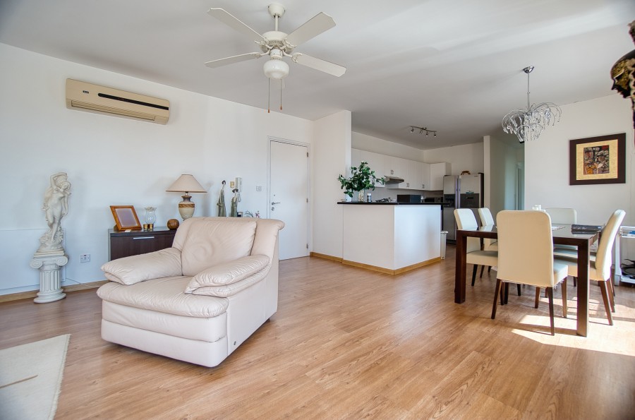 663715-penthouse-for-sale-in-agia-marinouda_full