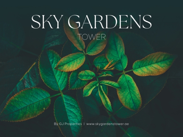 6Ld6oPuBzEzMERA6VOB9hf4 3 scaled 1