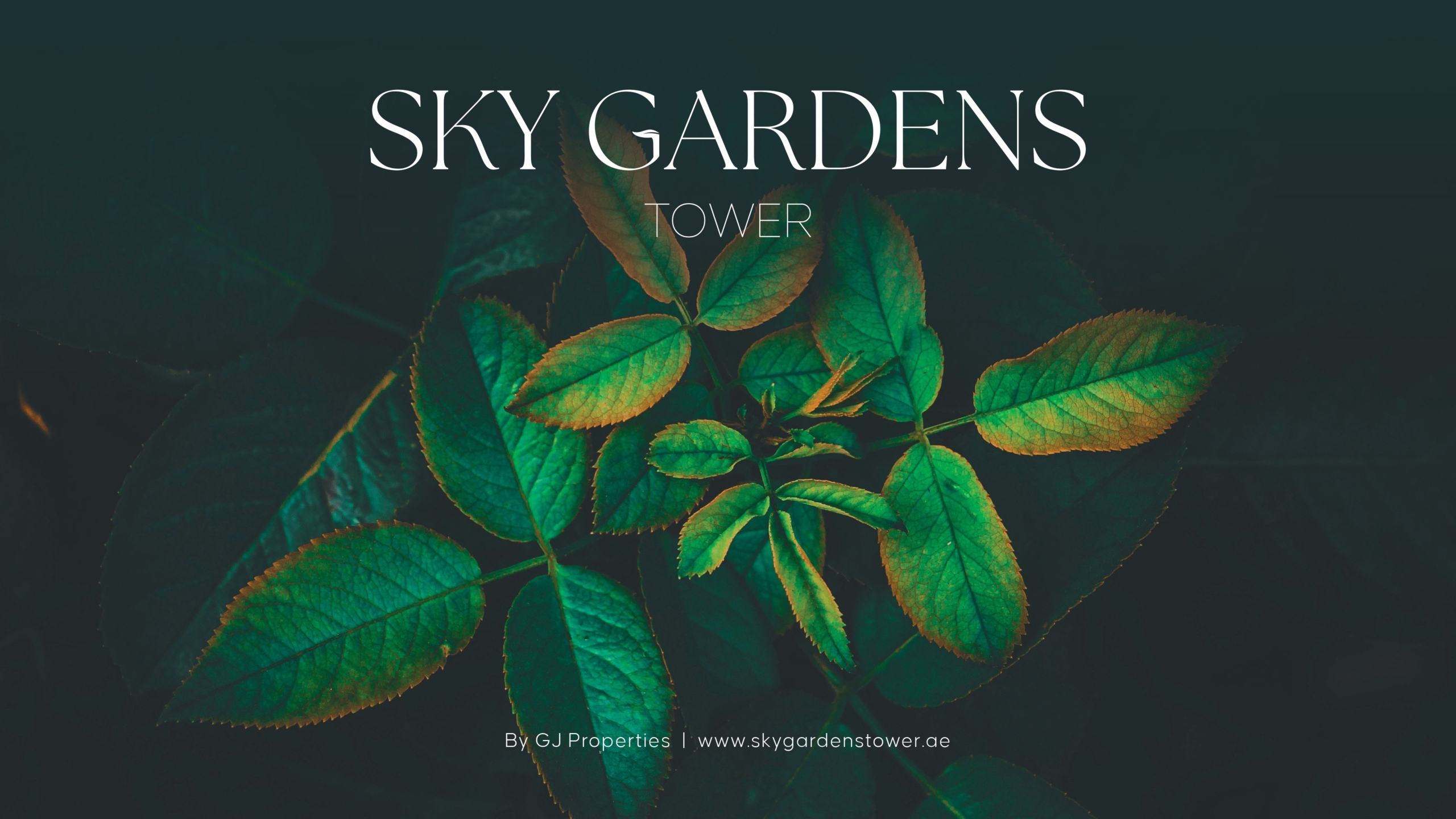 6Ld6oPuBzEzMERA6VOB9hf4-5-scaled