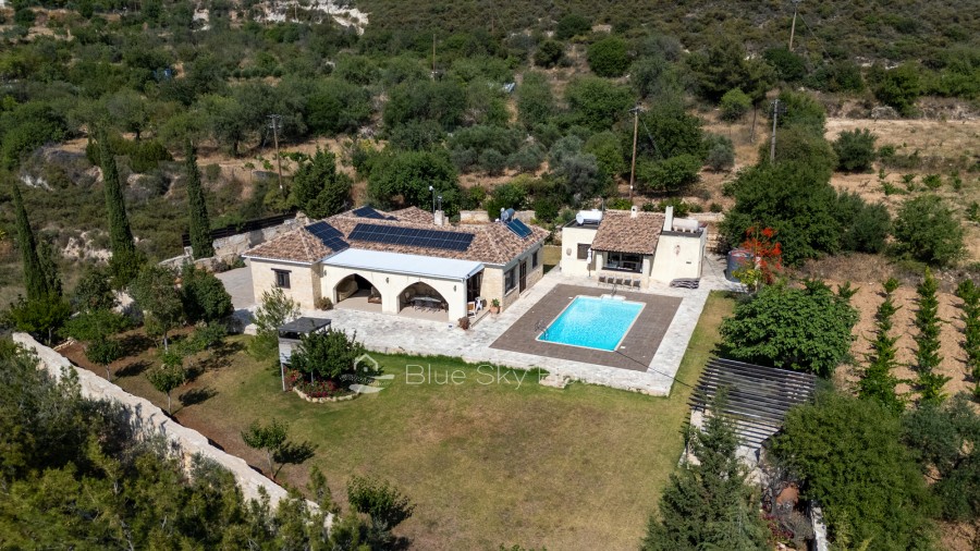 702590-detached-villa-for-sale-in-laneia_full