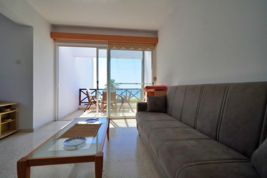 724754-apartment-for-sale-in-meneou_full