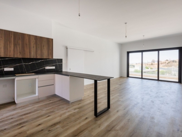 733253 apartment for sale in ayios athanasios full