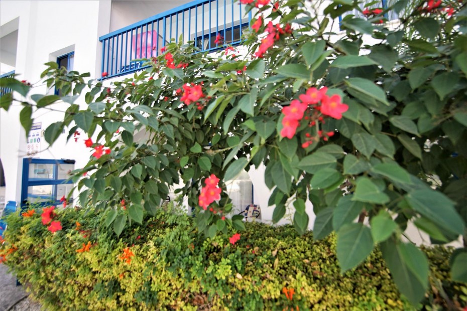 92006-apartment-sold-in-kato-paphos-universal_full