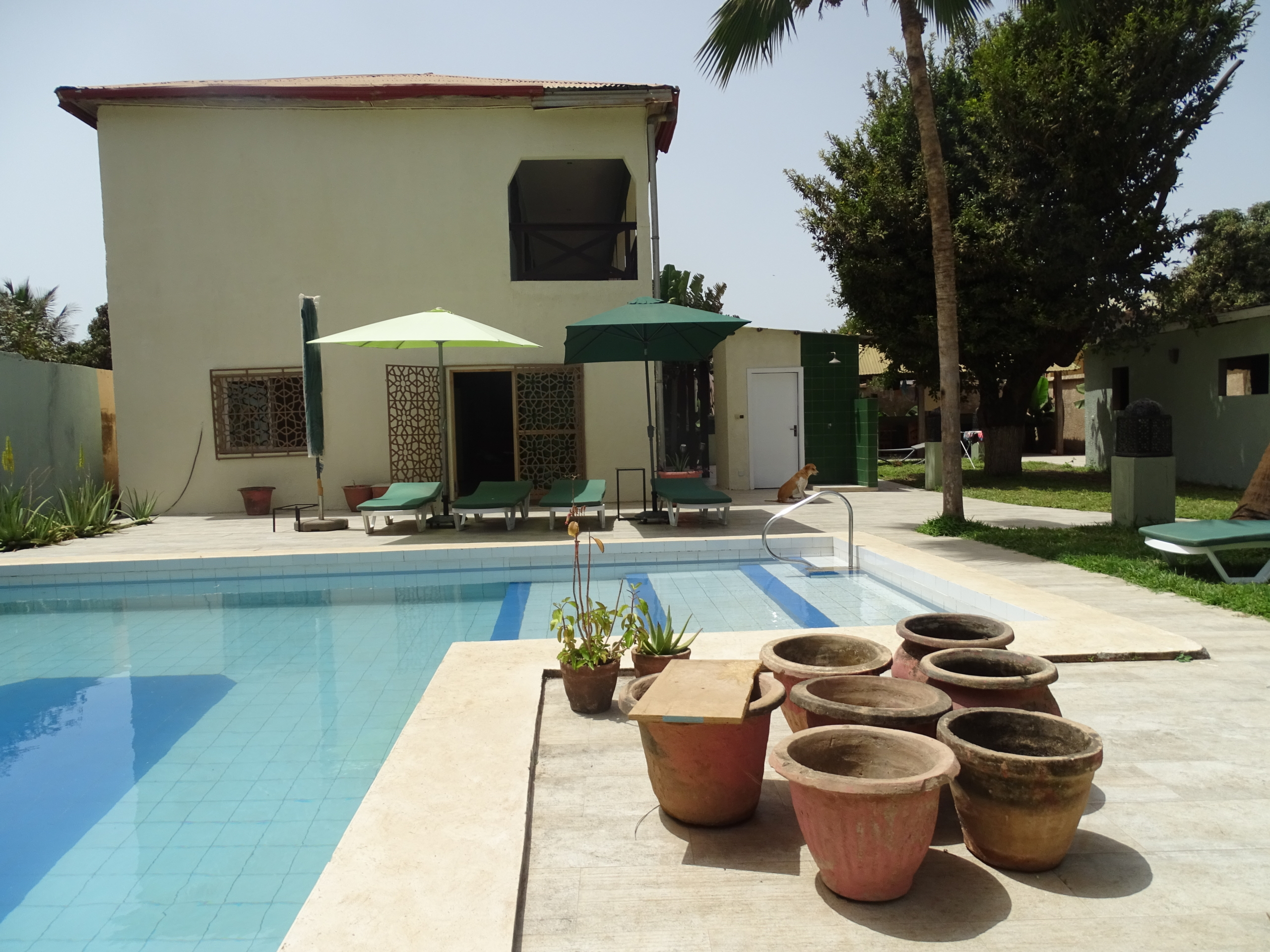 DD9166A5 BC33 4944 9999 CCF22730AB5C