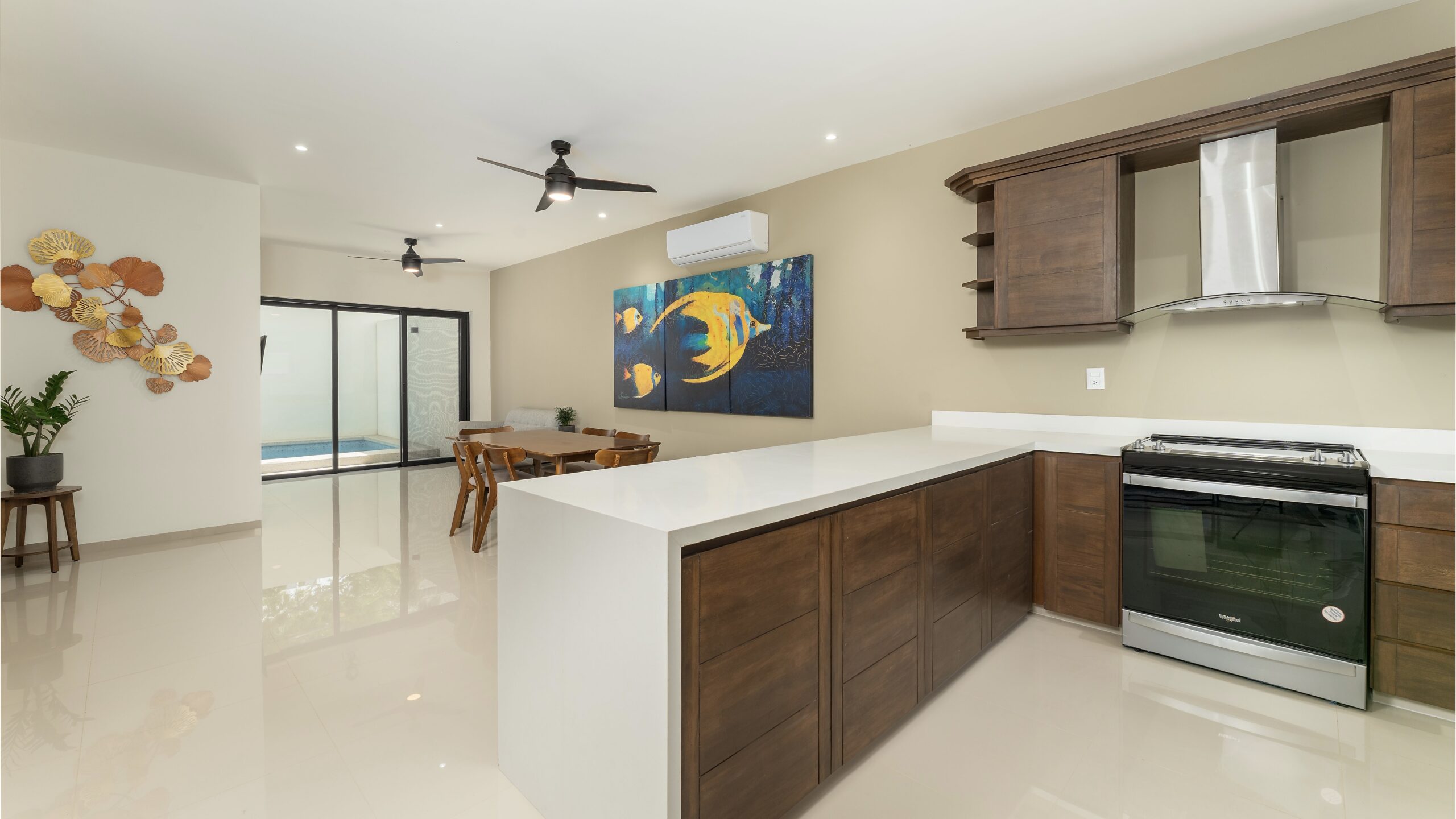 Delonix-Showroom-3-scaled-1