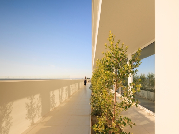 ID6d738001 0000 0500 0000 0000169336d1