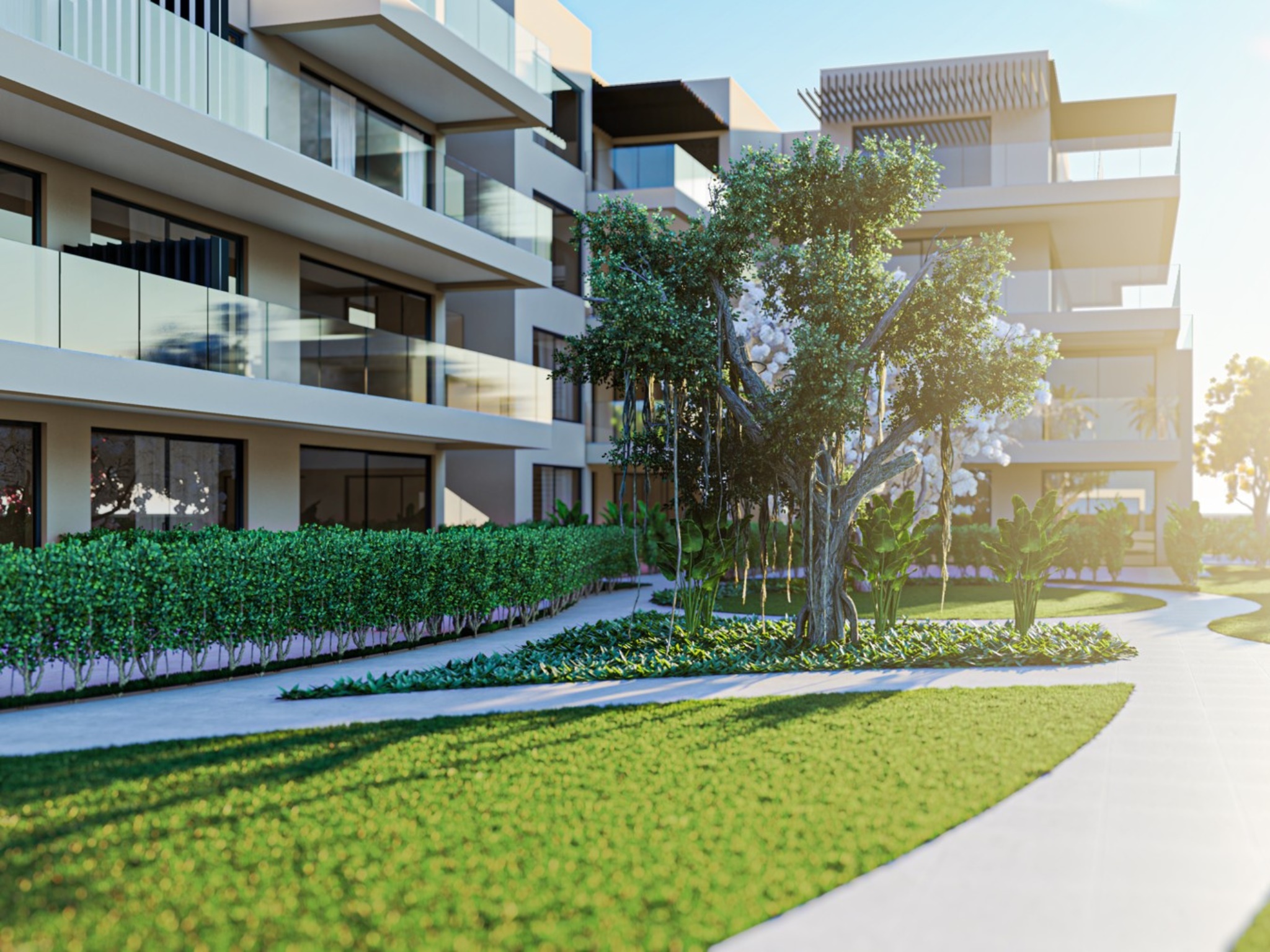 IDd8b16f01-0000-0500-0000-00001691b3ee