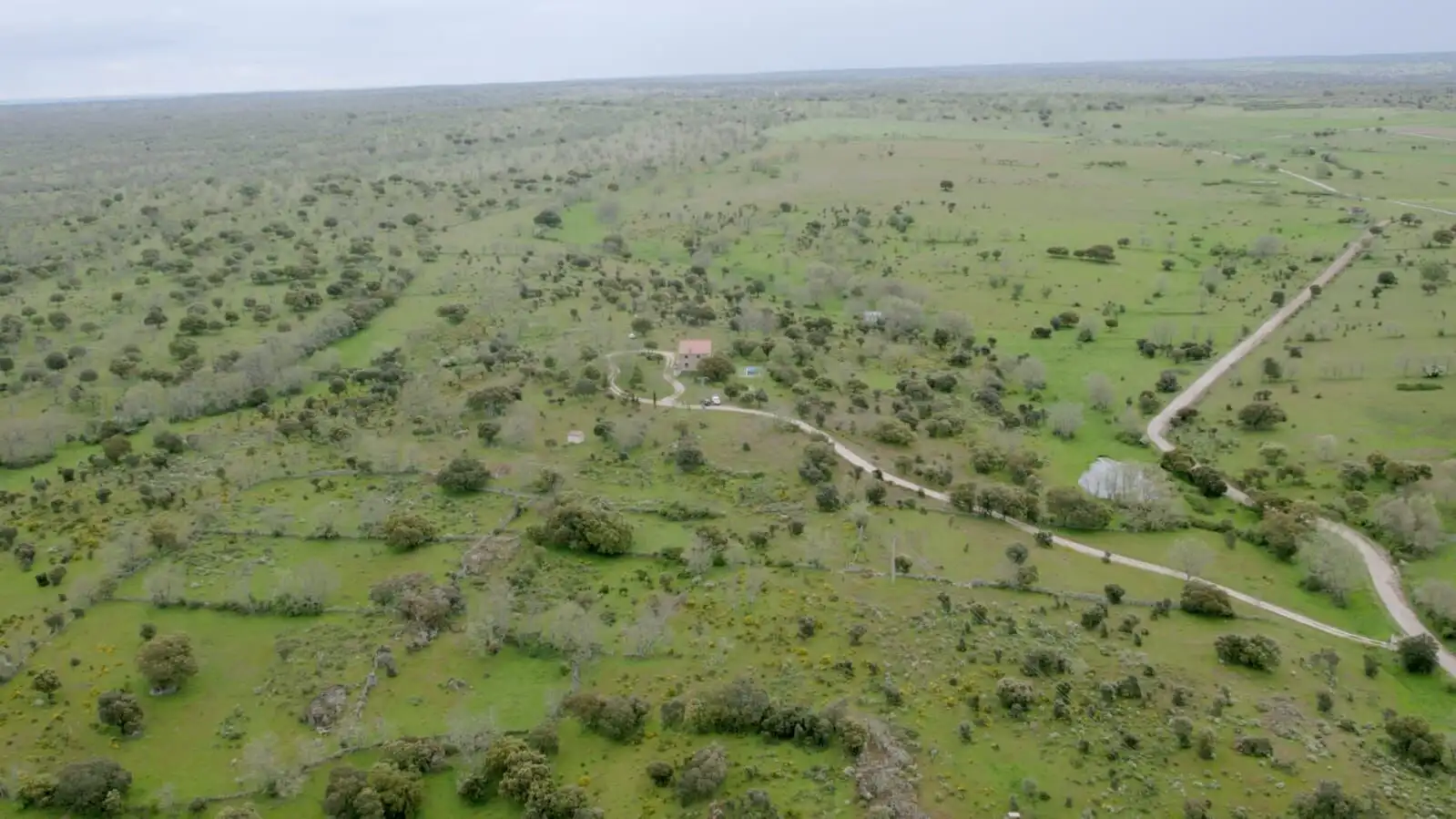 Charming stone house surrounded by private woodland in Salamanca for sale.